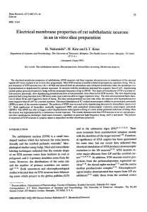 Electrical membrane properties of rat subthalamic neurons in an in