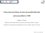 PowerPoint Presentation - Tissue characterization of acute