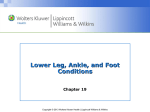 Foot and Lower Leg Fractures (cont.)
