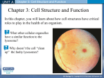 bio 12 chpt 3.5 cell membrane(edit)