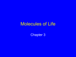 Carbon Compounds In Cells