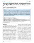 Interaction of Sesbania Mosaic Virus Movement Protein