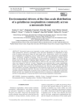 Environmental drivers of the fine-scale distribution a mesoscale front