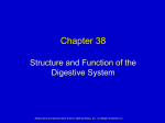 Chapter 38 Structure and Function of the Digestive System