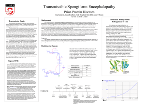 Transmissible Spongiform Encephalopathies