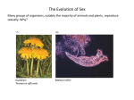 Meiosis and the Alternation of Generations