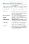 BERTO2-for low res pdf.indd