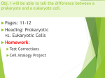 Prokaryotic vs. Eukaryotic Cells