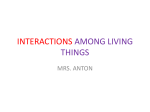 INTERACTIONS AMONG LIVING THINGS