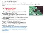 VI. Levels of Selection
