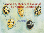 Theory of Evolution & Microevolution
