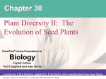 Seeded Plants