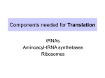 Components needed for Translation tRNAs Aminoacyl-tRNA synthetases