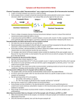 Synapses and Neurotransmitters Notes