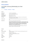 Anti-SDHA antibody [EPR9043(B)] ab137040 Product datasheet 1 Abreviews 12 Images