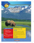 Chapter 18: Vertebrate Animals