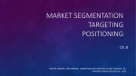 Market Segmentation Targeting Positioning