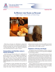 Is Honey the Same as Sugar? - University of Arizona Cooperative