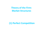 Chapter 6: Theory of the Firm: Costs, Revenues and Profits and