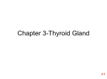 Chapter 3-Thyroid Gland 3-1