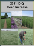 2011 IDIQ Seed Increase
