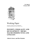 Working Paper POVERTY, INEQUALITY AND DEVELOPMENT:  MICRO- MACRO PERSPECTIVES AND