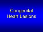 Congenital-Heart-Lesions