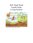 SOL Study Book Fourth Grade Living Systems