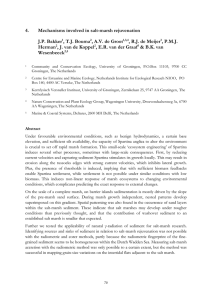 4. Mechanisms involved in salt-marsh rejuvenation J.P. Bakker