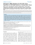 Pathogenic LRRK2 Mutations Do Not Alter Gene