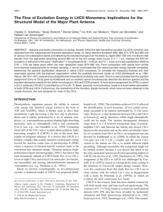 The Flow of Excitation Energy in LHCII Monomers: Implications for... Structural Model of the Major Plant Antenna