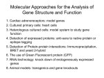 Molecular Approaches for the Analysis of Gene Structure and Function