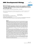 BMC Developmental Biology