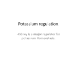 Potassium regulation