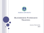 Blood Borne Pathogens Training