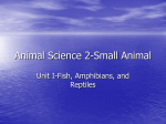 Animal Science 2-Small Animal Unit I-Fish, Amphibians, and Reptiles