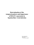 Determination of the temporal pattern and importance of BALF1 expression in
