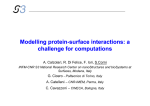 Modelling protein Modelling protein--surface interactions: a surface interactions: a challenge for computations