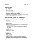 Key Phyla Characteristics