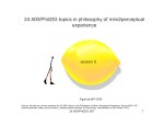 24.500/Phil253 topics in philosophy of mind/perceptual experience session 8 Figure by MIT OCW.