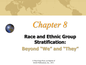 Race and ethnic group stratification