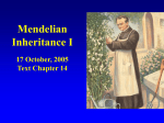 Mendelian Inheritance I 17 October, 2005 Text Chapter 14