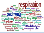 9.1-Respiration structures