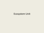 Ecosystem Unit