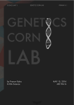 Genetics Corn Lab.pages