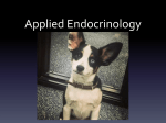 Applied Endocrinology