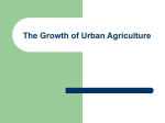 The Growth of Urban Agriculture