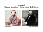Lecture 5 Natural selection – theory and definitions Charles Darwin Alfred Russel Wallace