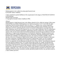 Methanogenesis in low sulfate hot spring algal-bacterial mats