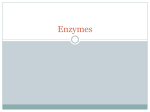 Enzymes - terranovasciences